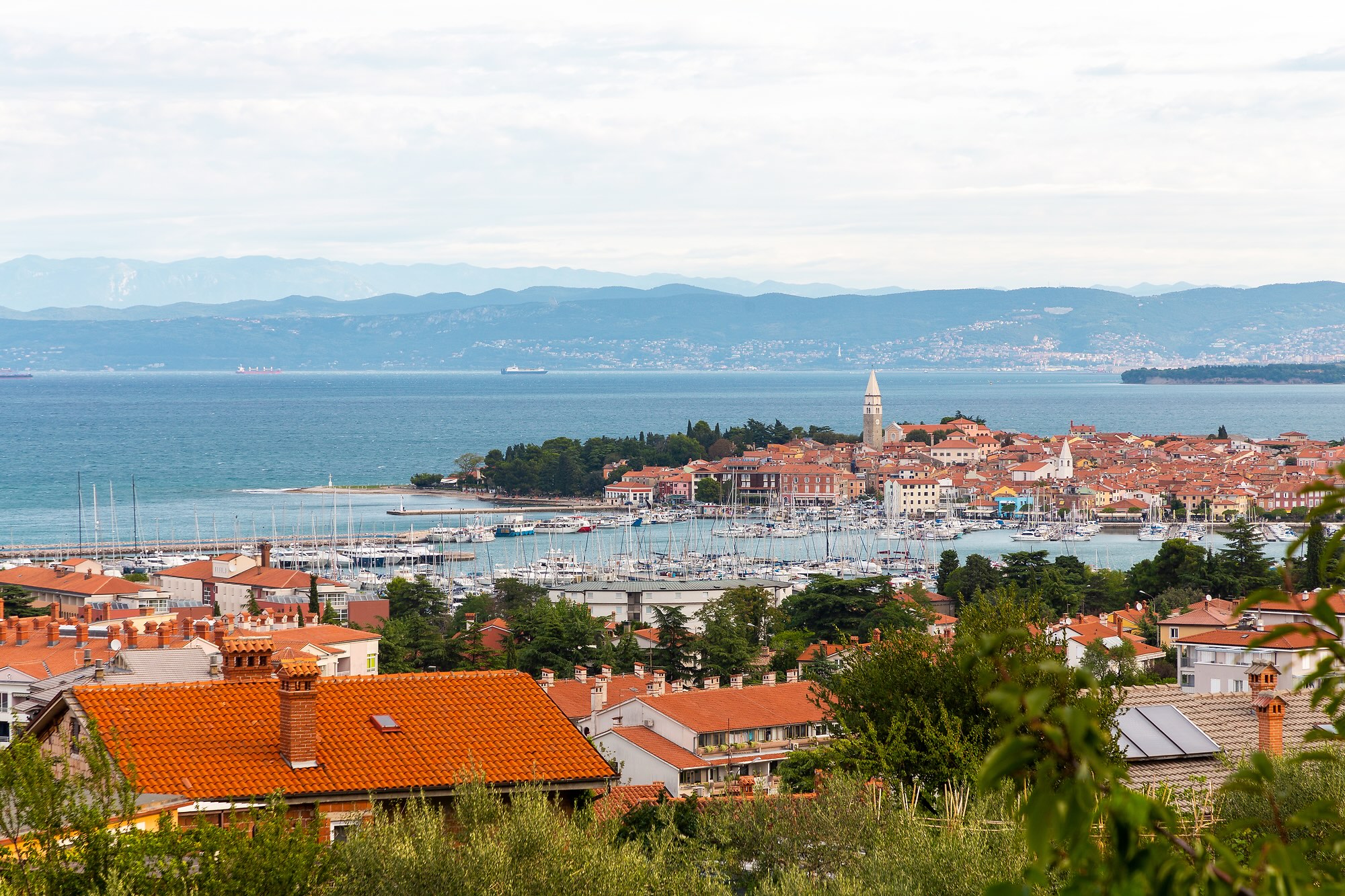 Izola venue